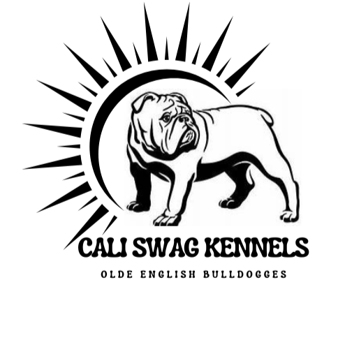 Cali Swag Kennels -Olde English Bulldogges Breeders
