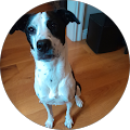 Community member