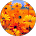 Joy Jenkins comment image