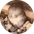 Avatar de Jingko.