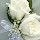 soumia benrabeh's profile photo