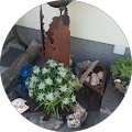fair-web.at - Werbeagentur aus Vorarlberg - Lauterach