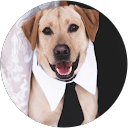 Kellie Hill's profile image