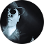 World Wide Videos