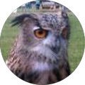 Avatar de Jim.r