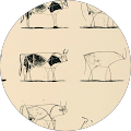 Vetsure Pet Insurance - Hatfield