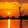Lucinda Q. Lovelace's profile photo