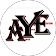 The A.Y.E. Team