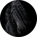 Avatar de Laëtitia.E