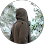 Dylan Hafizhan