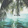 Photo de Vitamin Sea