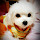 周二班 B9943029 鄭凱中's profile photo