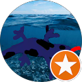Sea-rex