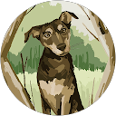 Sandy Green's profile image
