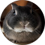 ひじりゃー