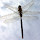 maryta...@gmail.com's profile photo