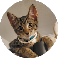 Community member