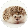 Avis de iamahedgehog. avec une note de 5 sur 5