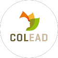 Avis de COLEAD. avec une note de 5 sur 5