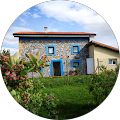 Blueberria Guesthouse