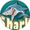 Avis de sharky. avec une note de 5 sur 5