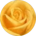 Sixeightnj