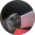 Avatar de Agnès.e