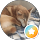 Flo profile picture