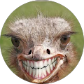 Review Author Image