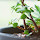 Rachel Lee's profile photo