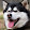 LB2UI - Robin Saraksen's profile photo