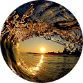 RGW Will Writing & Estate Planning Portchester - Fareham