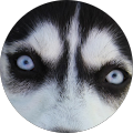 Avatar de michel.c
