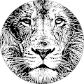 Avatar de m.a