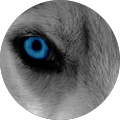 Avatar de Jean.e