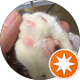 Google Maps Profilbild von 山田竹輪