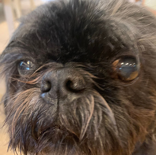 Anthony Howard Flores