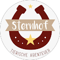 Pony-Motion Supervision und Consulting Sandra Thierauf Dipl. Betriebswirtin (FH) - Ortenburg