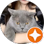 ç«ã¾ã