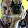 salih zeki ilban's profile photo