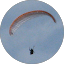 FPTecrc Avatar