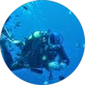 Avatar de thierry.o