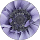 Sonia Cattaneo profile picture