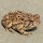 John Violette's profile photo