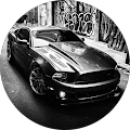 Avis de MUSTANG.9 avec une note de 5 sur 5