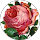 Beata Vogt profile picture