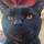 Marc Fisher's profile photo