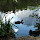 Josie Cowgill's profile photo