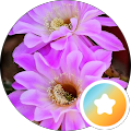 Review Author Image