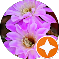 Review Author Image